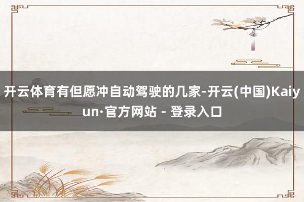 开云体育有但愿冲自动驾驶的几家-开云(中国)Kaiyun·官方网站 - 登录入口