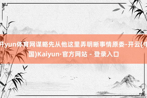 开yun体育网谋略先从他这里弄明晰事情原委-开云(中国)Kaiyun·官方网站 - 登录入口