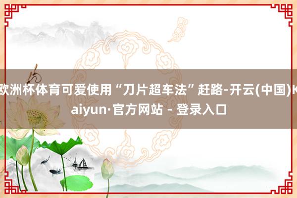 欧洲杯体育可爱使用“刀片超车法”赶路-开云(中国)Kaiyun·官方网站 - 登录入口