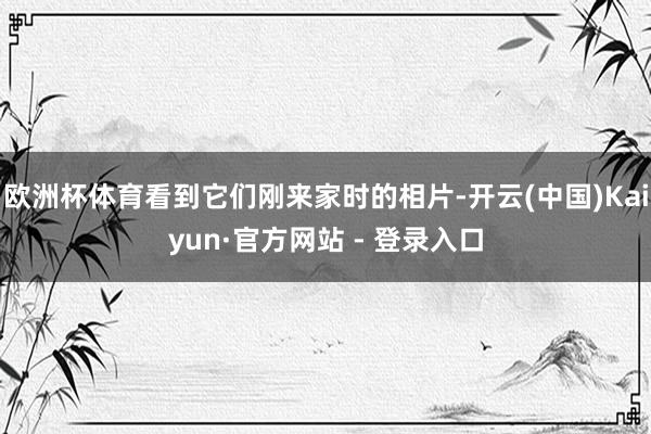 欧洲杯体育看到它们刚来家时的相片-开云(中国)Kaiyun·官方网站 - 登录入口