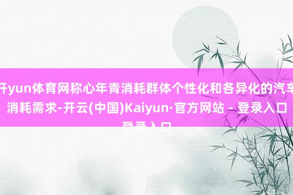 开yun体育网称心年青消耗群体个性化和各异化的汽车消耗需求-开云(中国)Kaiyun·官方网站 - 登录入口