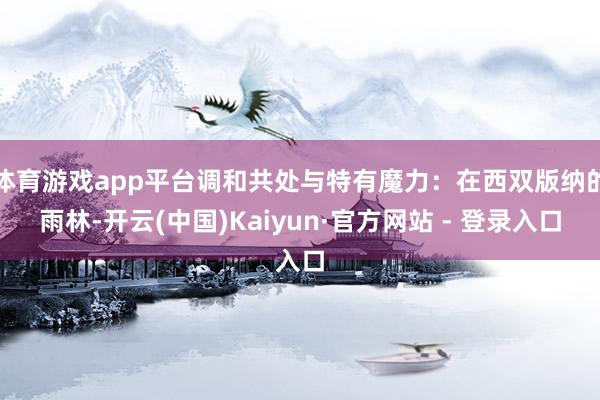 体育游戏app平台调和共处与特有魔力：在西双版纳的雨林-开云(中国)Kaiyun·官方网站 - 登录入口