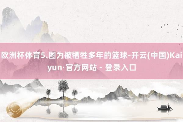 欧洲杯体育5.图为被牺牲多年的篮球-开云(中国)Kaiyun·官方网站 - 登录入口