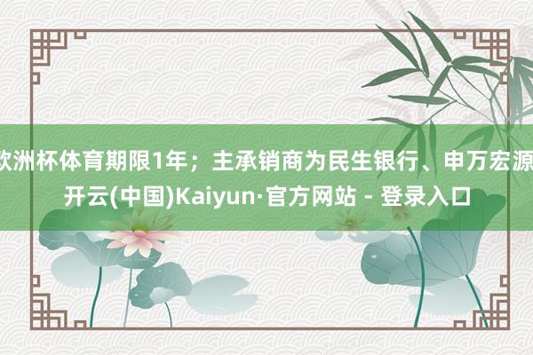 欧洲杯体育期限1年；主承销商为民生银行、申万宏源-开云(中国)Kaiyun·官方网站 - 登录入口