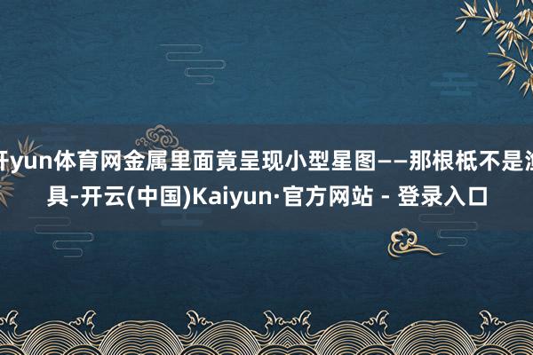 开yun体育网金属里面竟呈现小型星图——那根柢不是渔具-开云(中国)Kaiyun·官方网站 - 登录入口