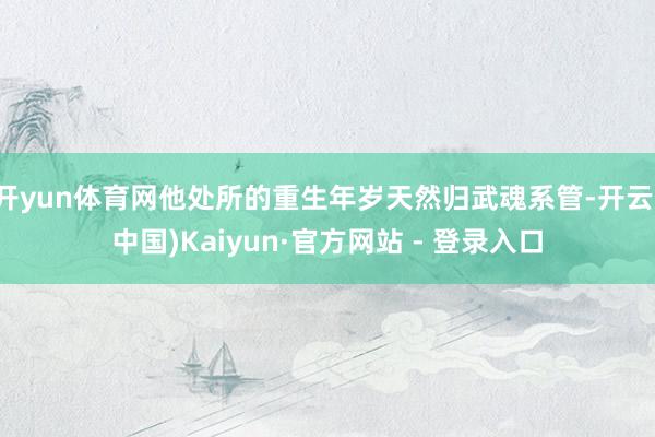 开yun体育网他处所的重生年岁天然归武魂系管-开云(中国)Kaiyun·官方网站 - 登录入口