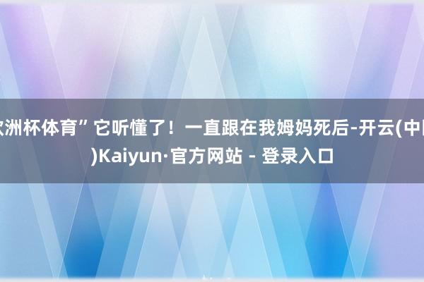 欧洲杯体育”它听懂了！一直跟在我姆妈死后-开云(中国)Kaiyun·官方网站 - 登录入口