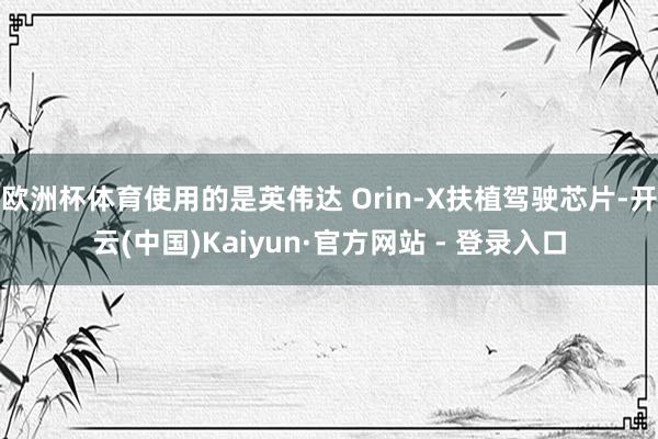 欧洲杯体育使用的是英伟达 Orin-X扶植驾驶芯片-开云(中国)Kaiyun·官方网站 - 登录入口