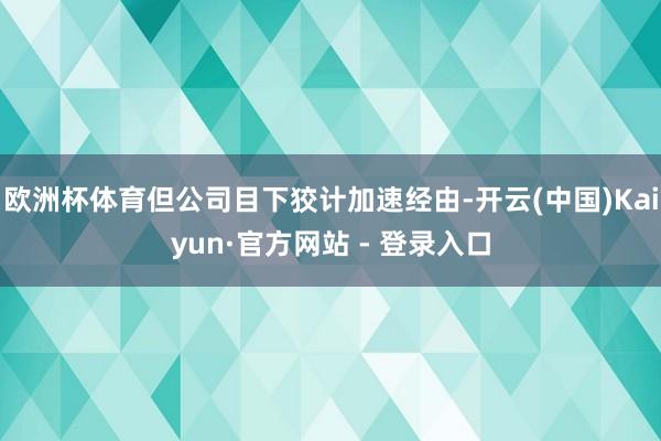 欧洲杯体育但公司目下狡计加速经由-开云(中国)Kaiyun·官方网站 - 登录入口