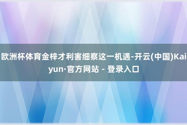 欧洲杯体育金梓才利害细察这一机遇-开云(中国)Kaiyun·官方网站 - 登录入口