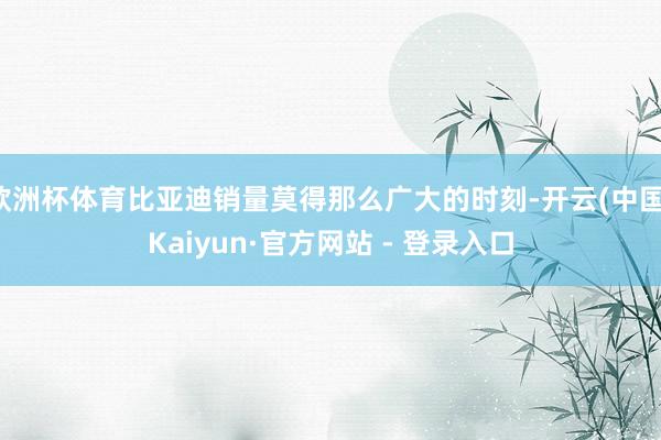 欧洲杯体育比亚迪销量莫得那么广大的时刻-开云(中国)Kaiyun·官方网站 - 登录入口